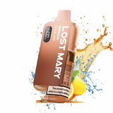 Lost Mary BM6000 Prefilled Pod Kit