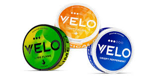 VELO Nicotine Pouches